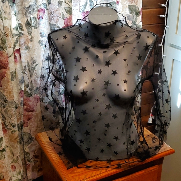 Shear see through accent top - Picture 1 of 4